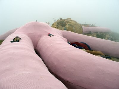 O bicho de pelcia que pode ser visto do espao