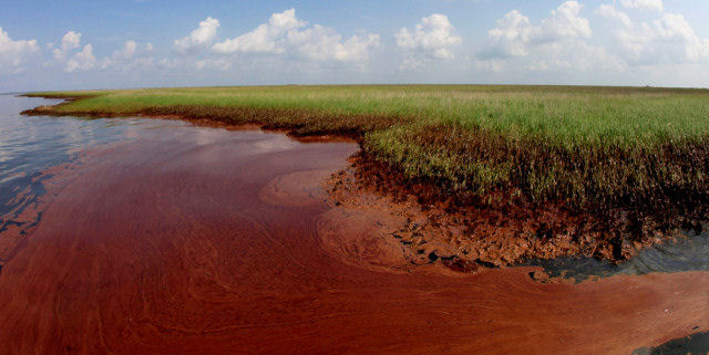 Desastre no Golfo do México