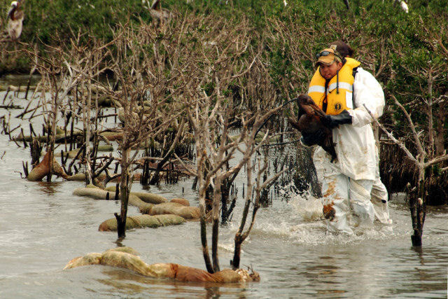 Desastre no Golfo do México