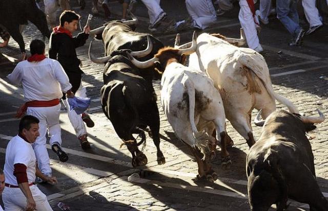 Festa de San Fermin