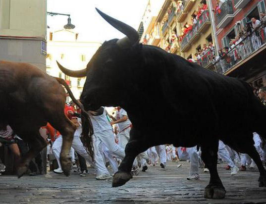 Festa de San Fermin