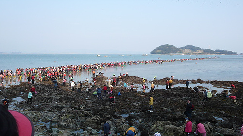 Ilha Jindo 02