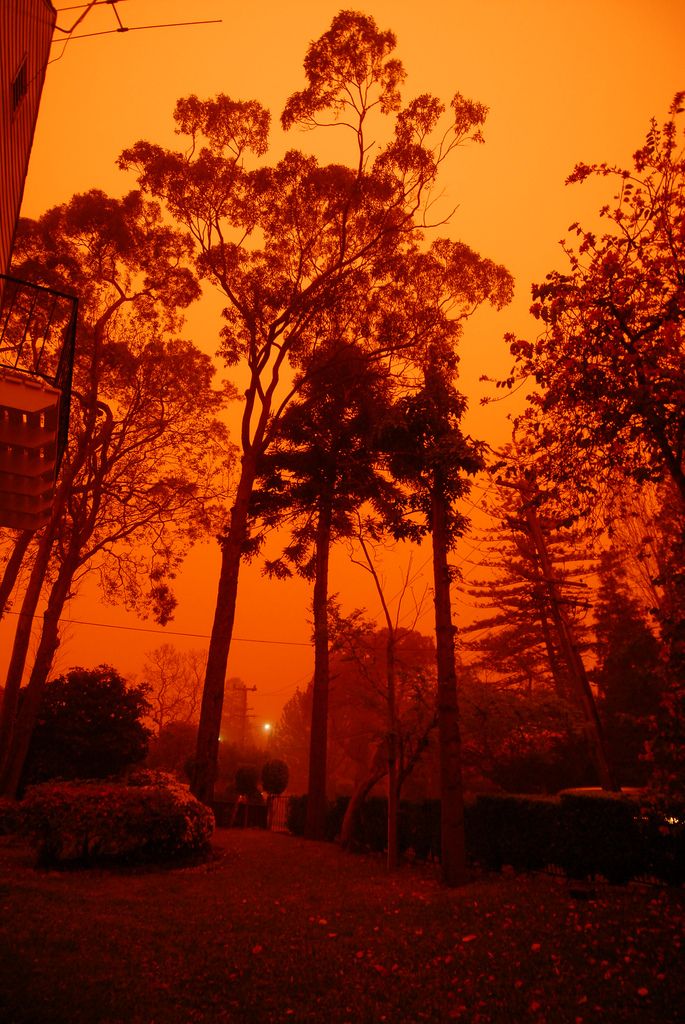 Impressionantes fotografias da tempestade de poeira na Austrlia