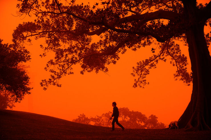 Impressionantes fotografias da tempestade de poeira na Austrlia