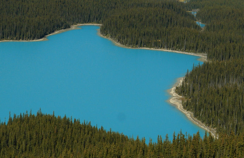 Maravilhas do mundo - Peyto, a verdadeira Lagoa Azul