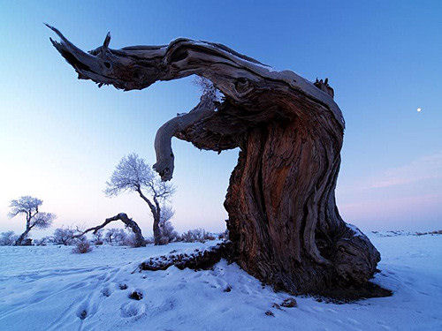 Taklamakan, um deserto que se cobre de neve