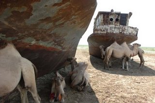 Vozrozhdeniya, o lugar mais estranho da terra