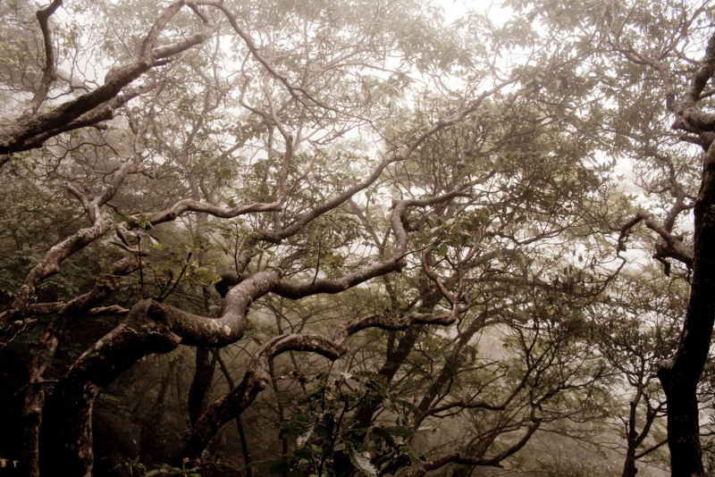 Huangshan