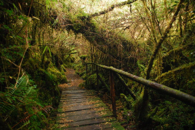 Maravilhas do mundo - O glaciar que d um salto no vazio, no Chile