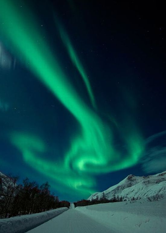 Aurora Boreal