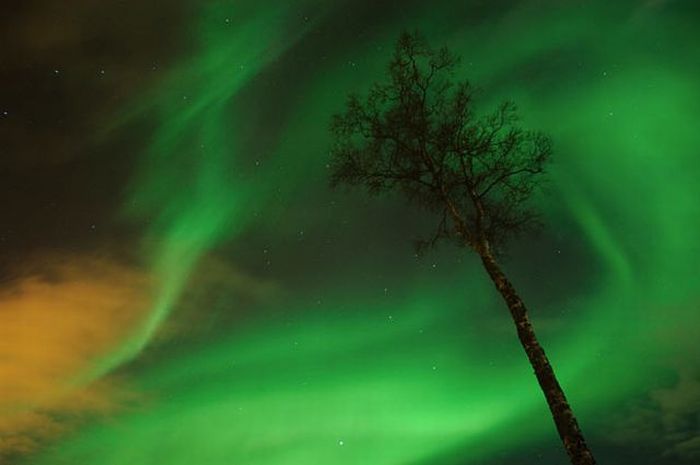 Aurora Boreal