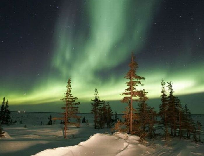 Aurora Boreal