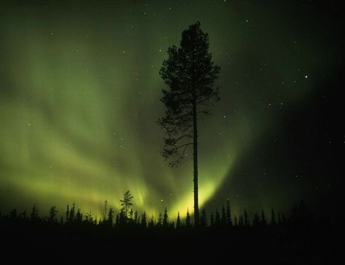 Aurora Boreal