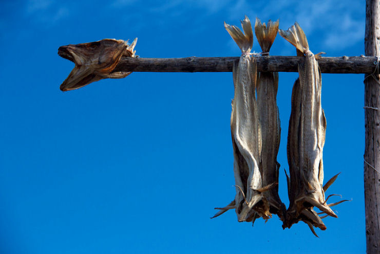 Lofoten, o arquiplago polar que no se congela 12