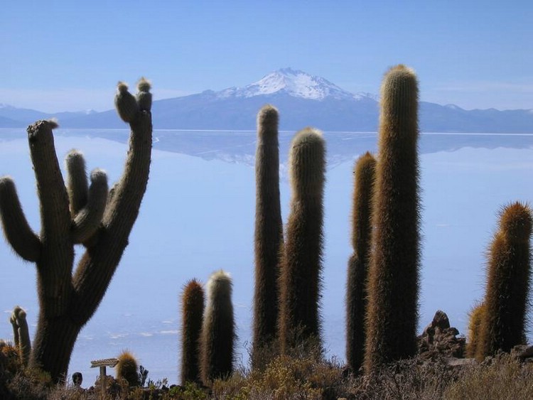 Maravilhas da natureza - Uyuni, onde o horizonte alcana o cu.