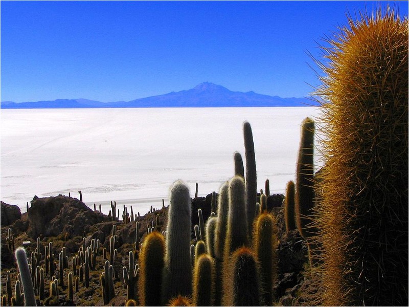 Maravilhas da natureza - Uyuni, onde o horizonte alcana o cu.