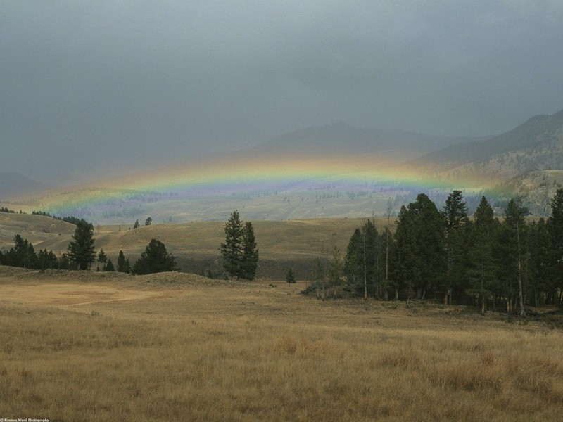 Parque Nacional de Yellowstone