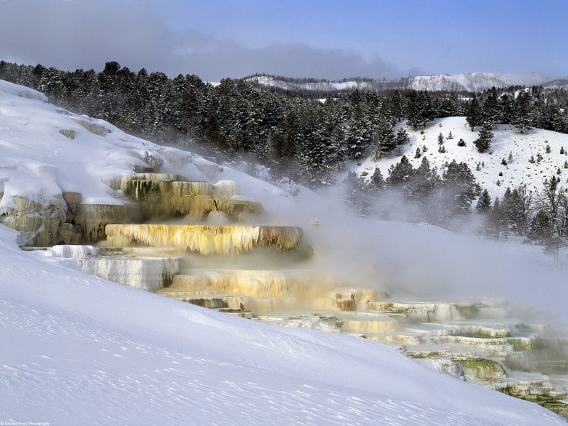 Parque Nacional de Yellowstone