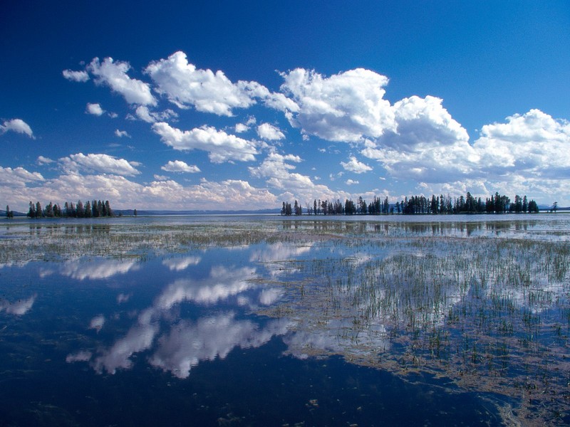 Parque Nacional de Yellowstone