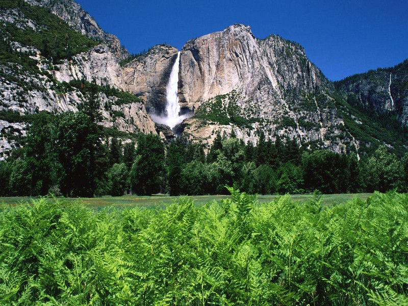 Parque Nacional de Yellowstone