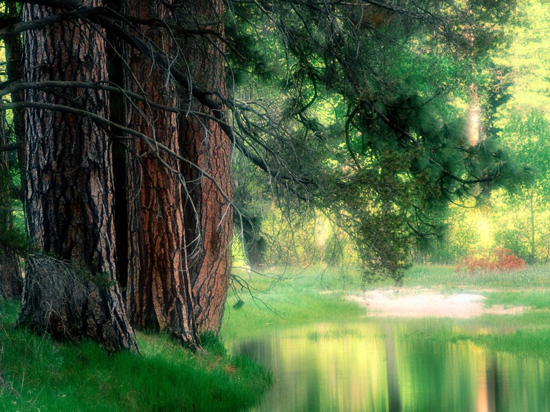 Parque Nacional de Yellowstone