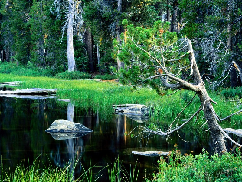 Parque Nacional de Yellowstone