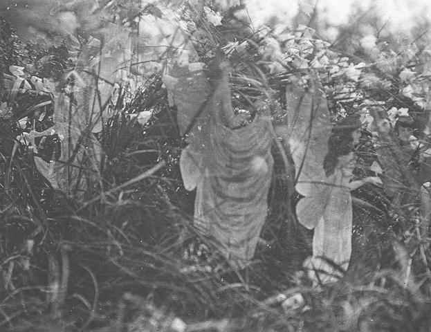 Fotografam a Sininho em jardim ingls