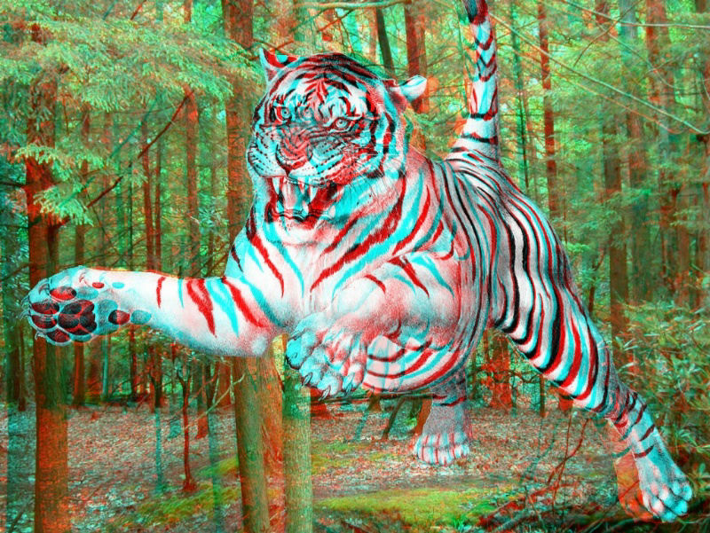 Tigre em 3D