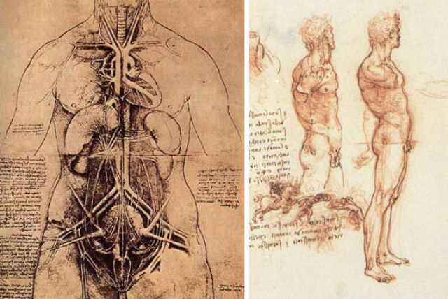 Anatomia feminina e masculina desenhada por da Vinci