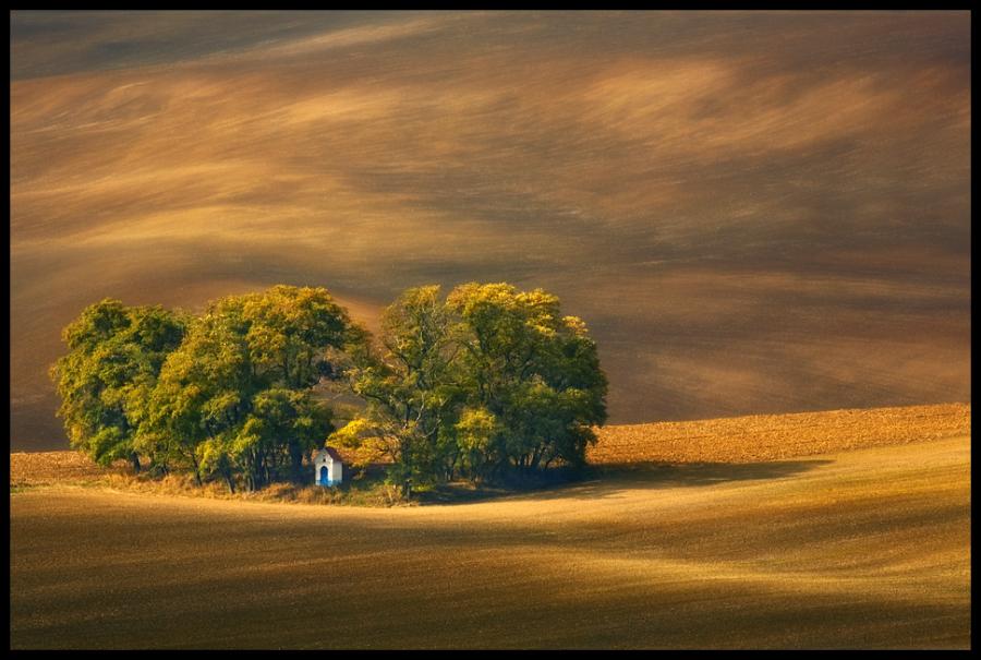 Fotos da semana207 63