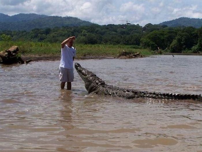 Imagens da semana233 38