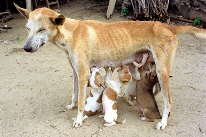 Imagens da Semana 52