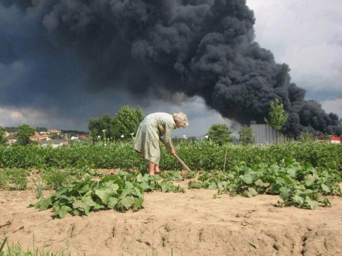 Imagens da Semana 54