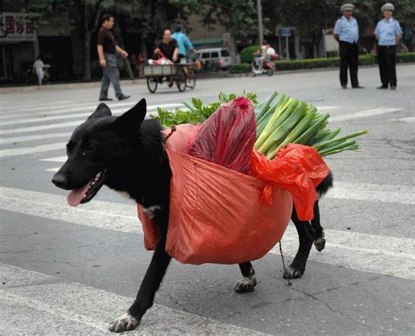 Imagens da Semana 54