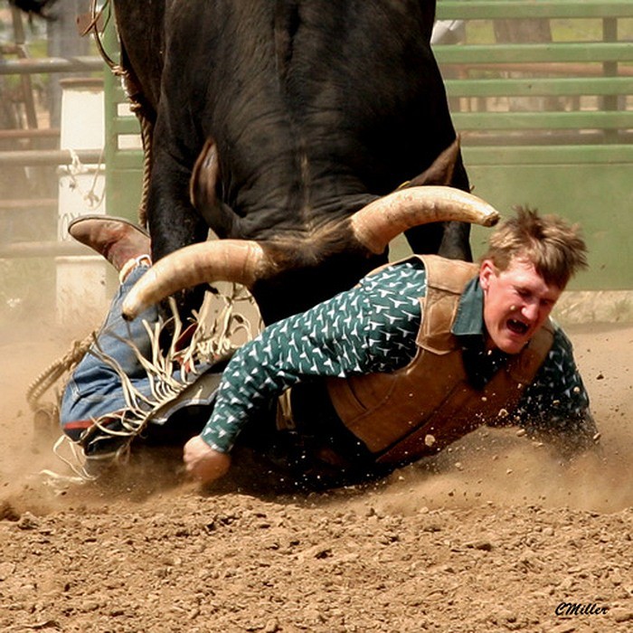 Imagens da Semana 59