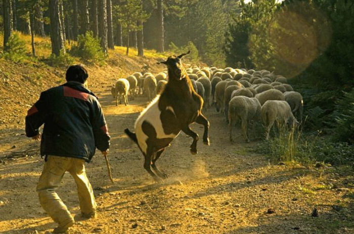 Imagens da Semana 66