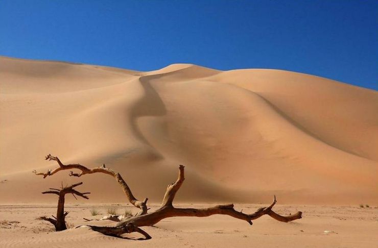 O caminho do vento.