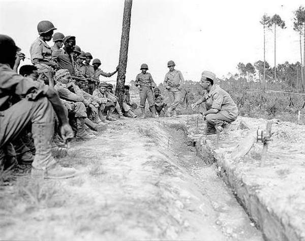 Brasileiros na Segunda Guerra