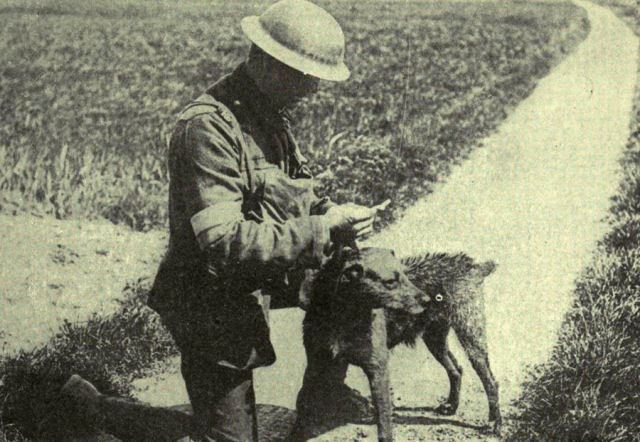 Os heris esquecidos da Primeira Guerra Mundial