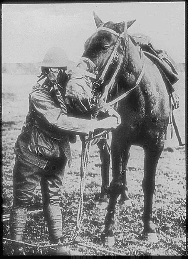 Os heris esquecidos da Primeira Guerra Mundial