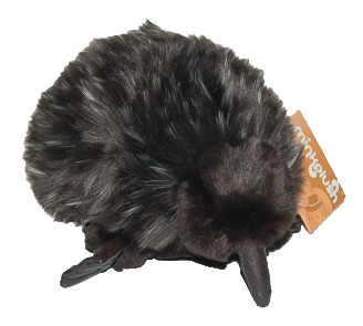 Edna, minha querida e cheia de vida Echidna Edna, minha querida e cheia de vida Echidna