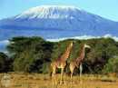 kilimmanjaro.jpg kilimmanjaro.jpg