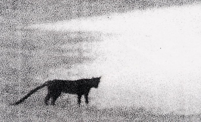 bigcat-tm.jpg bigcat-tm.jpg