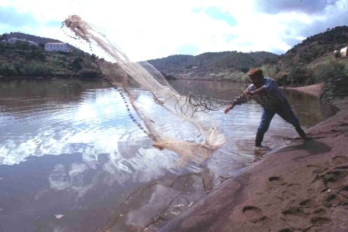 pesca.jpg pesca.jpg