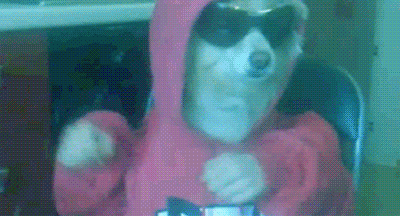 tumblr_lxaueb1LzN1ql4cruo1_400.gif tumblr_lxaueb1LzN1ql4cruo1_400.gif