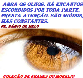 frases_do_moreijo659.png frases_do_moreijo659.png